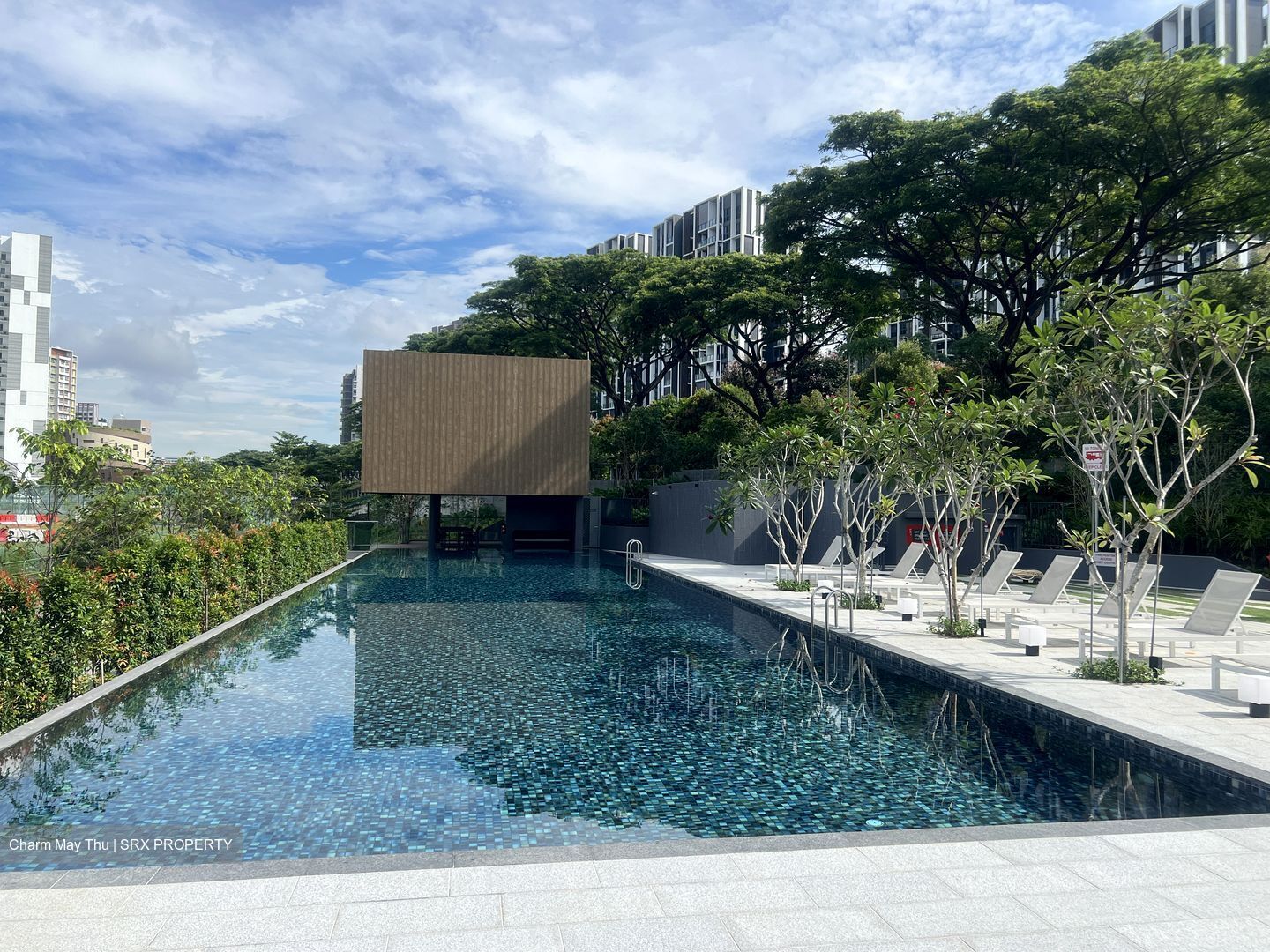 Bartley Vue (D19), Apartment #589153481